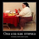 ���� ���� ������, ������, 59 ��� - ��������� 3 ������� 2014 � ������ ������ ��������