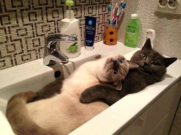  -  - 29  2014  16:58