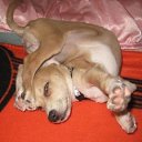 �������� �� ������� �������