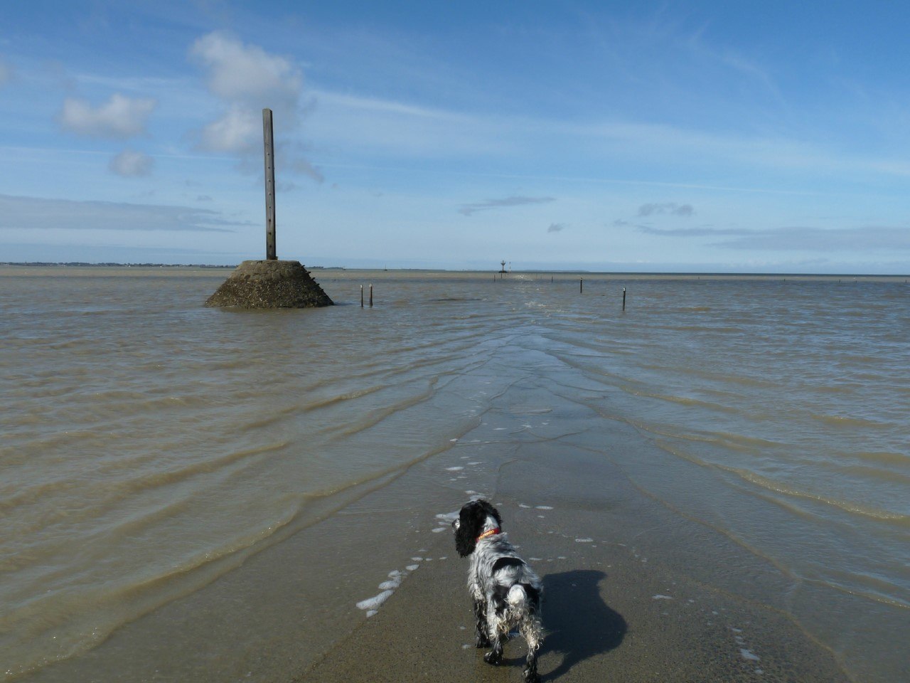  ,    .   (Passage du Gois)     ... - 5