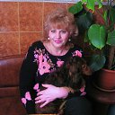 ���� �������, �����-��������� - ��������� 29 ������ 2014 � ������ ���� ����������