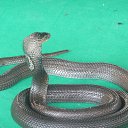 ���� ������, ���������, 57 ��� - ��������� 11 �������� 2014 � ������ ���� ����������