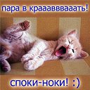 ���� ���������, ������ - ��������� 18 ������� 2014 � ������ ������ ��������