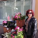 ���� ��������, ������ - ��������� 31 ������� 2014