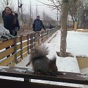 ���� �������, ������, 76 ��� - ��������� 9 ������� 2014 � ������ ������� ���������