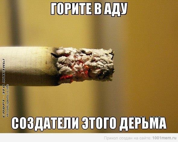  -   - 5  2014  15:52
