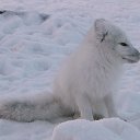 � ��� �� ������� ���� ����������