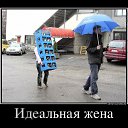 ���� ����, �����-��������� - ��������� 9 �������� 2014 � ������ ���������
