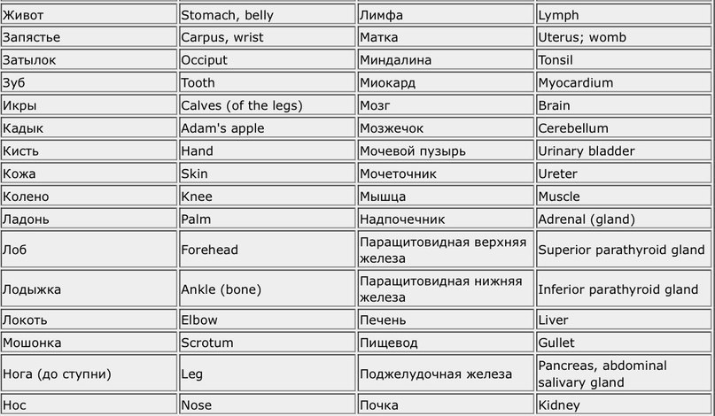 Тел на русском. Части тела на английском с переводом. Части тела таблица. Части тела на английском с произношением. Английские слова части тела с переводом на русский.