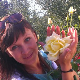 �����, ��������