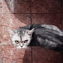 ���� Kati, ������ - ��������� 29 ������ 2014 � ������ ������ ��������