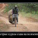 ���� �������, ����� - ��������� 12 ������� 2014 � ������ ���� ����������