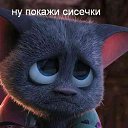 ���� ��������, ����-���������, 49 ��� - ��������� 13 �������� 2014 � ������ ���� ����������
