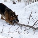  (- )   ))) - 09.02.2014     - 2014