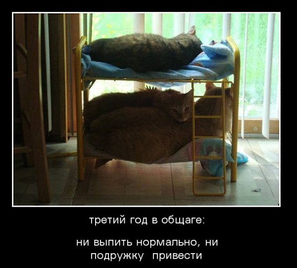 �������������� �� ���: fotostrana.ru/public/232203 ;-)