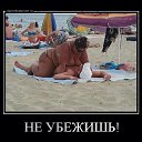 ���� ������, ������, 38 ��� - ��������� 29 ������� 2014 � ������ ������ ��������