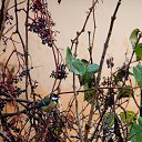 ������� 2014 �� ������� ������� ��������)))�