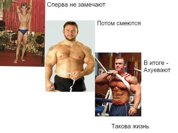 SportFeed - 1  2014  13:21