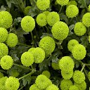 ���� �����, ������, 58 ��� - ��������� 27 ������� 2014 � ������ �����