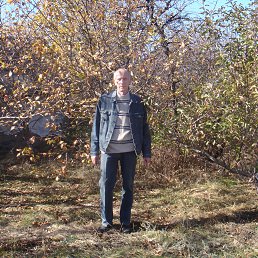 ���� Anatol, ��������, 64 ���� - ��������� 16 ������� 2014