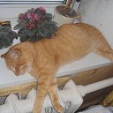 ���� �������� ��������, ������� - ��������� 23 ������� 2014 � ������ �������