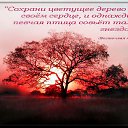 ���� ������, ������, 51 ��� - ��������� 28 ������� 2014 � ������ ������ ��������