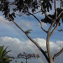 ���� �����, ������ - ��������� 8 ������ 2014 � ������ ������ ��������