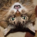 ���� ����������, ������� ��������, 63 ���� - ��������� 30 ������ 2014 � ������ ������ � �����