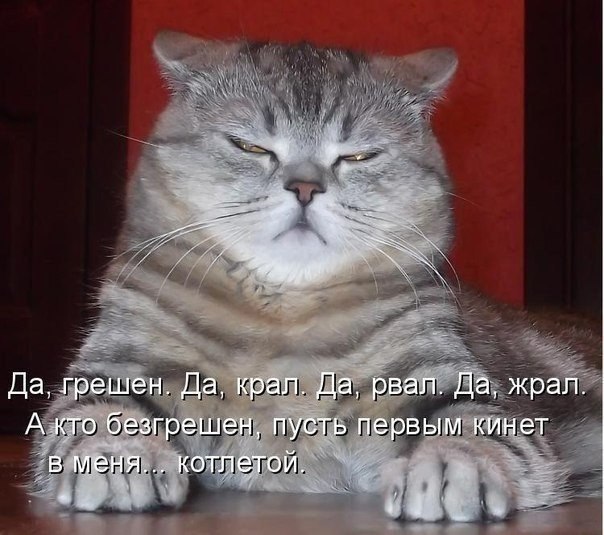 ������ - 24 ������� 2014 � 18:01