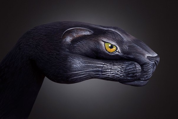  -    (Guido Daniele)