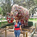 ���� Susanna, ������, 67 ��� - ��������� 24 �������� 2014 � ������ �Mobiln@i albom�