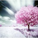 ���� Artem, �������, 60 ��� - ��������� 23 ������� 2014 � ������ ������ ��������