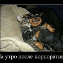 ���� ������, ������� - ��������� 2 ������� 2014 � ������ ������ ��������