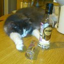 ���� ��������, ������, 56 ��� - ��������� 19 �������� 2014 � ������ ���� ����������