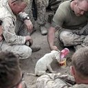 ���� �������, �����, 52 ���� - ��������� 31 ������� 2014 � ������ ������ ��������