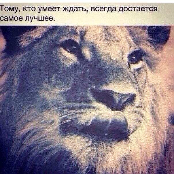 Instaglam - 1  2014  19:14