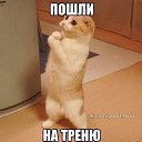 ���� ������, �����������, 43 ���� - ��������� 11 ������ 2014