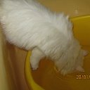  Sly, , 46  -  25  2014     :-)