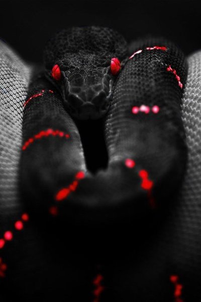 ������� �����������!!! ������������ ���� Grand Carrera �� ������� 70% ������ ��� ������ ��� ... - 6