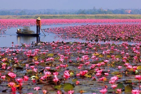 Подписывайтесь на нас:;-).http://fotostrana.ru/public/233467 Необычное озеро, Таиланд