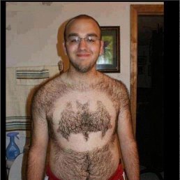 ����, �����������, 56 ���