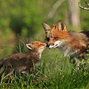 ���� Natali, ������ - ��������� 25 �������� 2014 � ������ ������ ��������