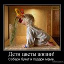 ���� �����, ������ - ��������� 17 ������� 2014 � ������ �����