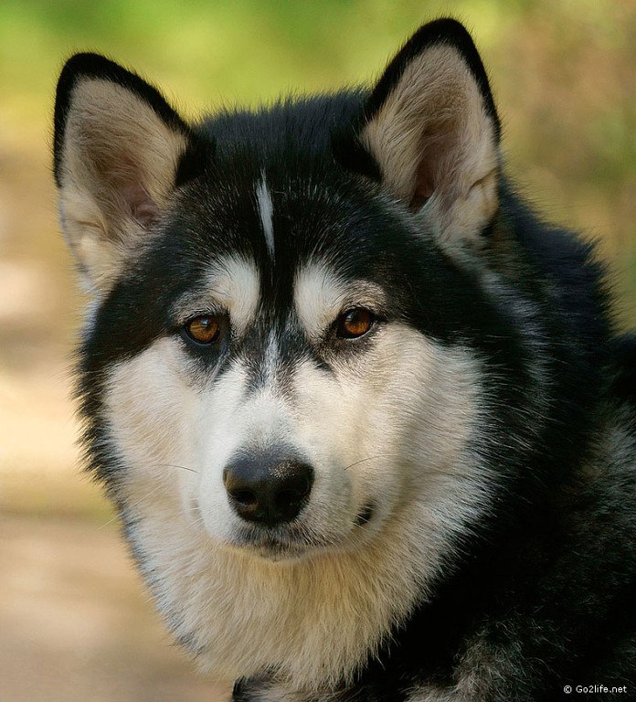   :3 - 30  2014  14:21