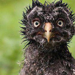 ���� ���������, �������, 54 ���� - ��������� 6 ������ 2014