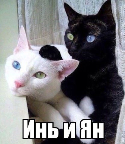 �������������� �� ���� �������� <a href=