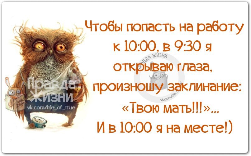 Работает оказывается. Правда жизни доброе утро. Смешные цитаты про ночную работу. Доброе утро правда жизни картинки. Правда жизни цитаты в картинках с совой.