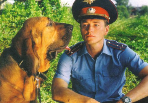 Х/Ф УЧАСТОК 12 СЕРИЙ / реж. Александр Баранов. гл.р. Сергей Безруков. Нина Русланова. Татьяна ... - 3