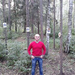 �������, ���������� �����, 41 ���