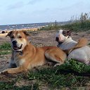  Roxanne, - -  15  2014   _09_2014